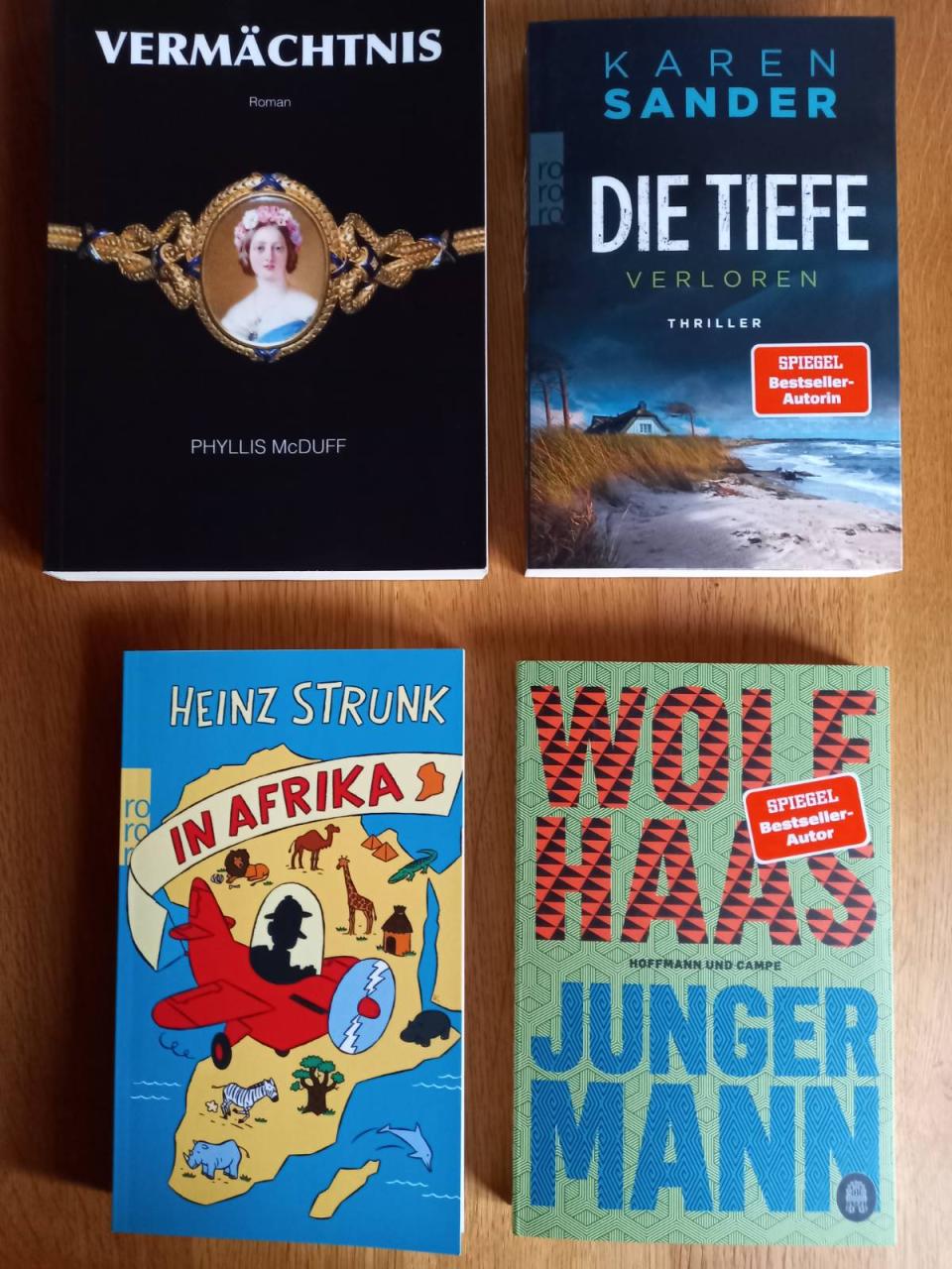 Buchcover 4 neue Bücher Juni 2026 Teil 1: Die Tiefe (Karen Sander), Junger Mann (Wolf Haase), in Afrika (Heinz Strunk), Vermächtnis (Phyllis McDuff)