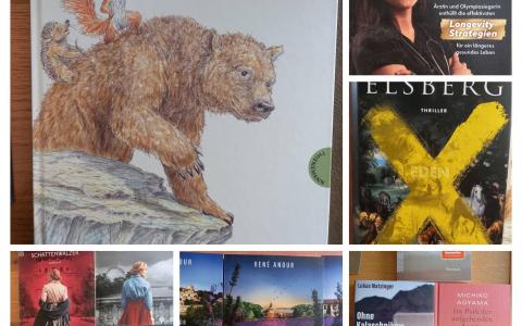 Collage der Buchcovers der neuen Bücher von Juli 2026
